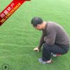 草坪地毯高爾夫草坪工廠草坪公園草皮批發
