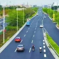 園林植物綠化常見問題解答