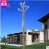 廠家定制八叉九火玉蘭燈 中山市興凱生產(chǎn)led玉蘭燈 道路景觀燈