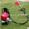 廠家直銷手推式汽油草坪機(jī) 園林綠化修剪工具