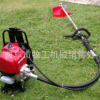 廠家直銷手推式汽油草坪機 園林綠化修剪工具