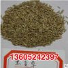 基地直銷黑麥草種子 優(yōu)質(zhì)精選黑麥草種子 牧草種子黑麥草質(zhì)優(yōu)價(jià)廉