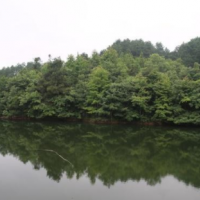 近現代建設：園林綠化的修建背景，發展情況