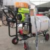 手推園林果園噴農藥機 高壓噴霧機 手推式噴霧器價格