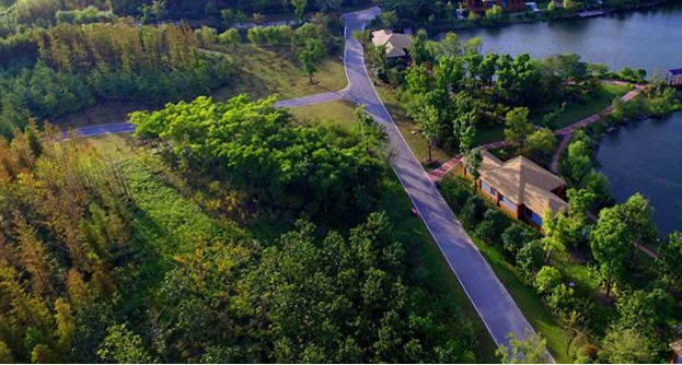 湖南人工造林85萬畝治理石漠化