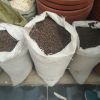 大號陶粒球無土栽培水培基質多肉栽培排水透氣防根爛