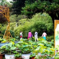 2019第13屆廣州國際環保產業博覽會