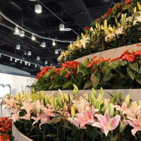 第十二屆廣州國際園林景觀與美好人居博覽會