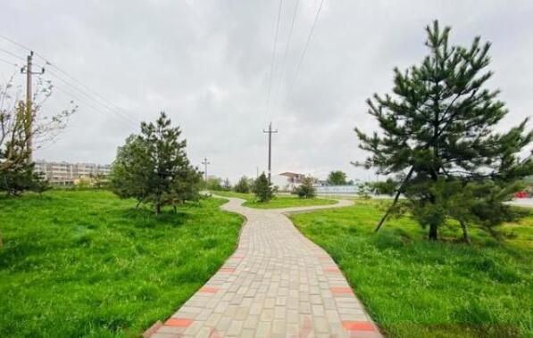 廊道綠化“美”家園