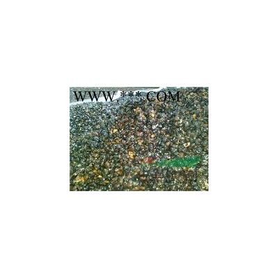 櫻花種子及小苗