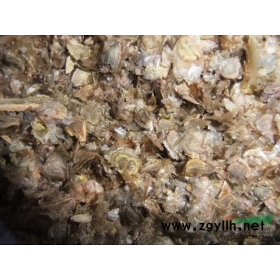 供應云錦杜鵑種子