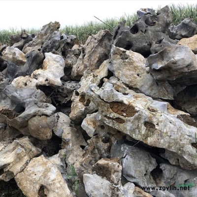 泰山原石造景石天然景觀石