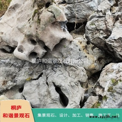 太湖石假山精品窟窿石風(fēng)景石景觀石