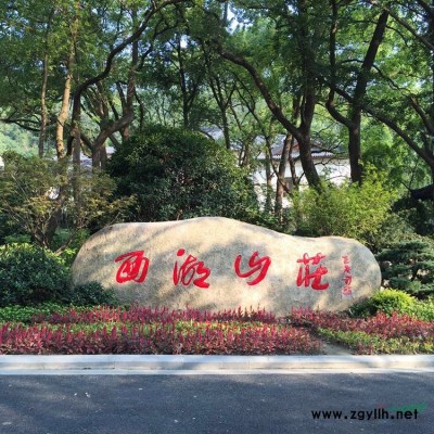天然雨花石鵝卵石景觀石自然石原石奇石