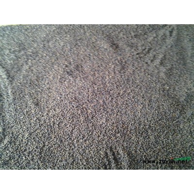 浙江地區供應紅豆杉小苗，2--13公分紅豆杉，紅豆杉種子