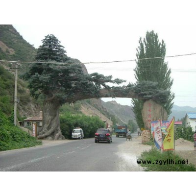 歐特園林 假山假樹 涼亭  園林景觀  假山設(shè)計(jì)