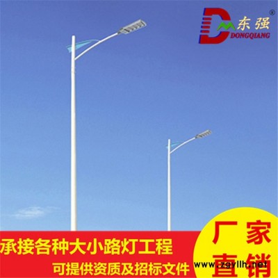 東強太陽能路燈戶外廠區(qū)公路道路庭院LED路燈公園庭院燈廠區(qū)新農(nóng)村路燈專業(yè)定做路燈質(zhì)保5年