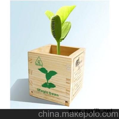 易拉罐魔豆，情侶魔豆,魔蛋，盆景,D2