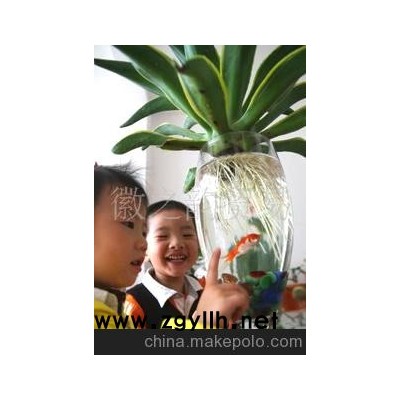 供應水培花卉 懶人花卉