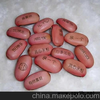 易拉罐魔豆，情侶魔豆,魔蛋，盆景,F2