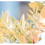 壓路機產品的銷量