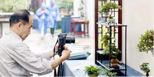 首屆小微盆景精品展 相約茂盛山房