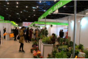 2020年第五屆山西苗木及花卉博覽會