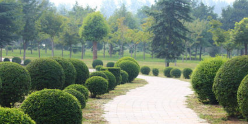 啟動區(qū)中央綠谷一期項目（EB4以北段）施工總承包招標公告