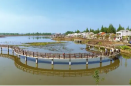 西和縣2021年33個鄉(xiāng)村振興示范村建設項目—十里鎮(zhèn)姚河村基礎設施項目施工招標公告