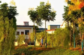 成都興蓉市政設施管理有限公司繞城內(nèi)（不含兩江環(huán)抱區(qū)域）市政排水管網(wǎng)重大病害治理工程項目（第四批）施工一標段