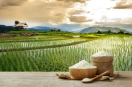 銅山區(qū)茅村鎮(zhèn)牛山礦山地質環(huán)境治理項目施工