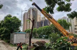 2021年7月31日-8月6日市政園林綠化養護情況