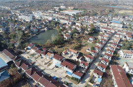 鎮江天王｜小苗木擘畫大藍圖 綠色產業開拓富民路