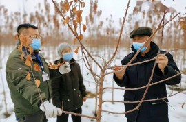 【訪惠聚】“技術流”秀一波