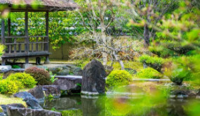 [0]R19023地塊項目的招標公告