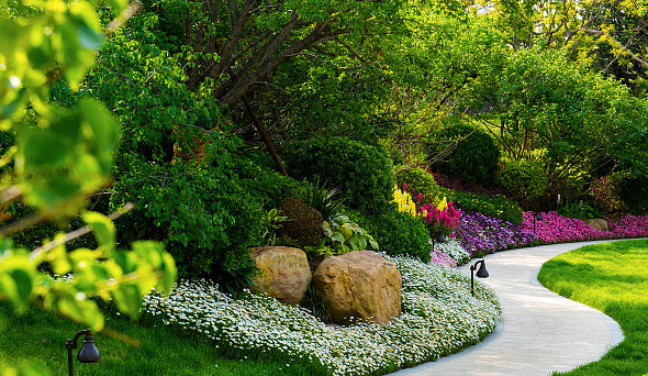 現代園林花卉種植技術，豐富花卉種植技術應用，優化生態大環境