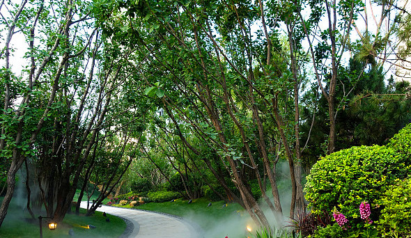 園林綠化中苗木種植施工與養護技術