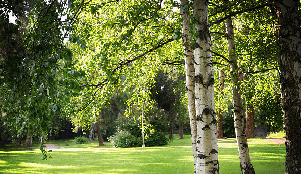 聚焦苗交會：“小苗卉”做活鄉村振興“大文章”