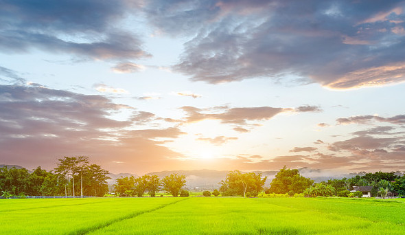 這場盛會下周將在肥西開幕！