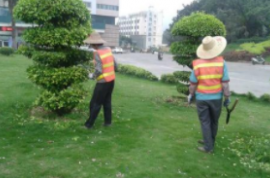 沂南西山小區(qū)棚改項目幼兒園綠化配套工程競爭性磋商公告