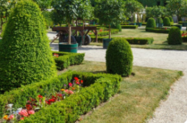 臨沂湯頭溫泉度假區(qū)觀塘街綠化鋪裝（湯河東路-夫子路）工程-公開招標公告