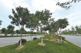 華能臨沂發電125南側綠化工程延期詢價公告202110220812