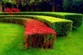 周至縣沙河上游段堤防綠化工程(二次)資格預審公告