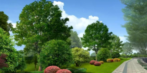 泗陽經(jīng)濟開發(fā)區(qū)太湖路及吳江路等五條道路綠化工程的招標公告