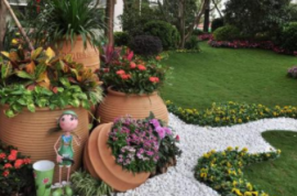 沂南西山小區(qū)棚改項目幼兒園綠化配套工程競爭性磋商公告