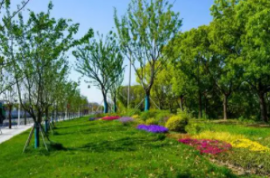 UPARK總部基地景觀綠化方案及施工圖設計資格預審公告