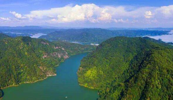 廣東潮州部署下一階段國土綠化工作