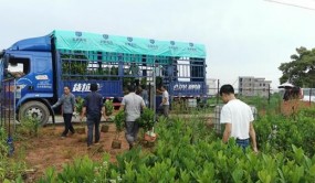 《種子法》明年3月1日起施行 權威專家深度解讀核心要點