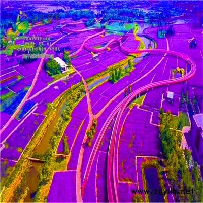 湖北省黃石市花海項目策劃效果免費設計