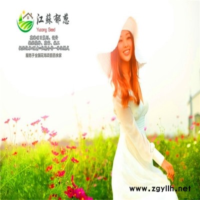 海南省春季花海規劃指導施工專業花海